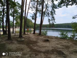 park z drzewami i wodą w obiekcie Siwy Dom w Turawie