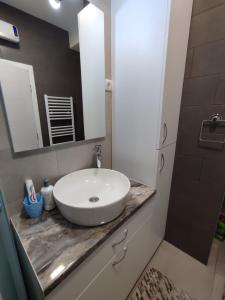 ein Badezimmer mit einem weißen Waschbecken und einem Spiegel in der Unterkunft Apartman Golemovic in Banja Luka