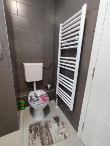 a bathroom with a toilet and a window and a rug at Apartman Golemovic in Banja Luka