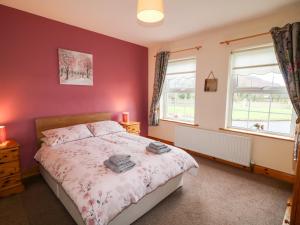 um quarto com uma cama e duas janelas em Willow Tree Farm House em Newry