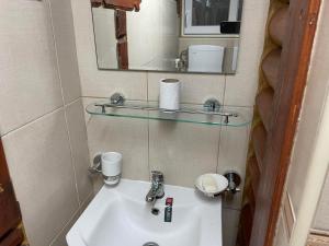 a bathroom sink with a glass shelf above it at Domacinstvo Ilici ,Gunjaci in Valjevo