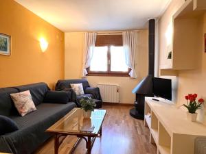 a living room with a couch and a tv at Apartament Boet - Ainet de Cardós in Vall de Cardos