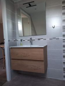 een badkamer met een wastafel en een spiegel bij Beau studio au calme proche de la cathédrale in Autun