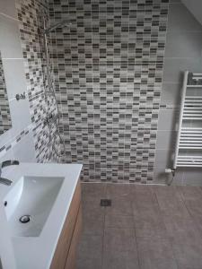 een badkamer met een witte wastafel en een douche bij Beau studio au calme proche de la cathédrale in Autun