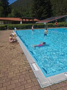 a group of people in a swimming pool at Das alte bauernhaus in Rohrbach