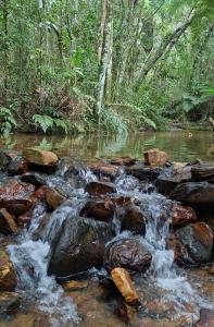 una corriente de agua con rocas en un bosque en Camping Nhá Chica, en São Thomé das Letras
