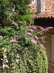 Zahrada ubytování Residenza San Faustino