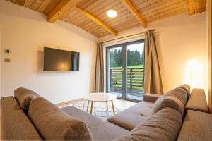 Μια τηλεόραση ή/και κέντρο ψυχαγωγίας στο Apartmány Na šumavské louce