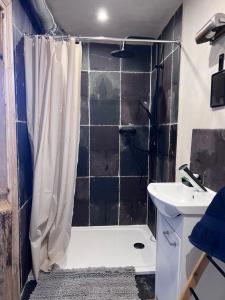 La salle de bains est pourvue d'une douche et d'un lavabo. dans l'établissement Flat 56, à Stara Kamienica
