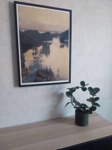 une photo sur un mur avec une plante sur une étagère dans l'établissement Ihastuttava kaksio Pieksämäen keskustasta, à Pieksämäki