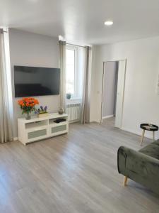 TV a/nebo společenská místnost v ubytování New apartment - MEMO - Le Locle