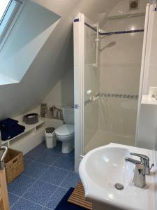 La salle de bains est pourvue d'une douche, d'un lavabo et de toilettes. dans l'établissement Gite " La petite maison", à Livry