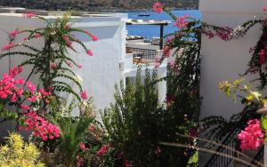 Gallery image of Aktur Residence in Bitez +48 photos