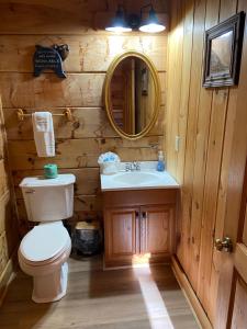 La salle de bains est pourvue de toilettes, d'un lavabo et d'un miroir. dans l'établissement Classy Bear Cabin, à Gatlinburg