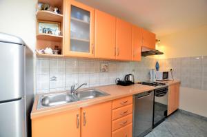 Kuchyň nebo kuchyňský kout v ubytování Apartment Visnja