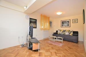 TV a/nebo společenská místnost v ubytování Apartment Visnja