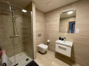 y baño con ducha, aseo y lavamanos. en Apartmán HM, en Horní Maršov