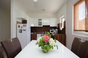 Kuchyň nebo kuchyňský kout v ubytování Apartments Jasna