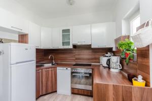 Kuchyň nebo kuchyňský kout v ubytování Apartments Jasna