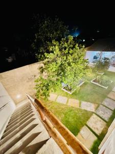 an aerial view of a garden with a tree at Freddyssimo Preá in Prea