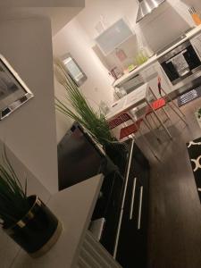 um quarto com uma cozinha com uma planta no balcão em Apartament Trocera em Zabrze