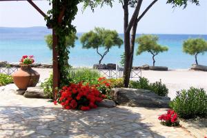 a garden with red flowers on the beach at Oasis studios in Psili Ammos
