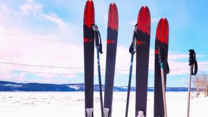 un groupe de skis est bordé dans la neige dans l'établissement La vieille ferme, Écogîte, à Saint-Fulgence