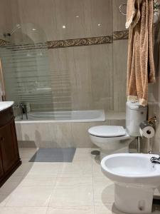 a bathroom with a toilet and a sink and a tub at EL COTARRO DE PESQUERA in Pesquera de Duero