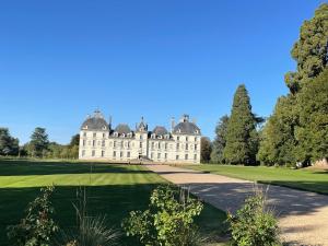 a castle in the middle of a field with trees at Les oiseaux du paradis in Saint-Aignan