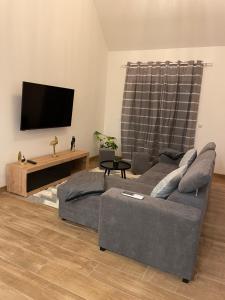 a living room with a couch and a flat screen tv at Les oiseaux du paradis in Saint-Aignan