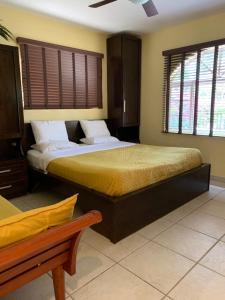 1 dormitorio con 1 cama grande en una habitación con ventanas en Casa Opal en Palm-Eagle Beach
