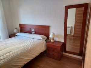 1 dormitorio con 1 cama grande y espejo en Apartamento con jardín, en Lira