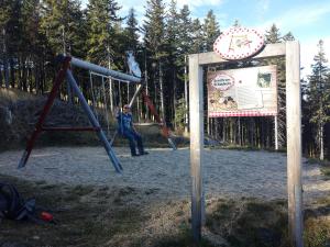 a girl is on a swing in a playground at Wald-Panorama-Zimmer in Mönichkirchen +34 photos