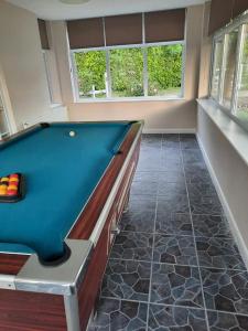 a billiard room with a pool table and two windows at Kara Mia in Boston