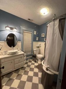 a bathroom with a sink and a toilet and a shower at The Queen's Gambit ( A Luxury 2nd Floor Apt in Downtown Staunton) in Staunton