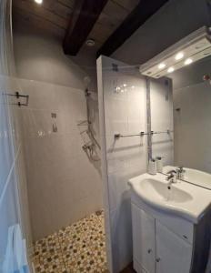 a bathroom with a sink and a shower at Git'Albert a 10 minute du château royale de Chambord in Mont-près-Chambord