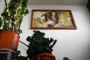 Fotografie z fotogalerie ubytování Casa Pacha v destinaci Guaduas