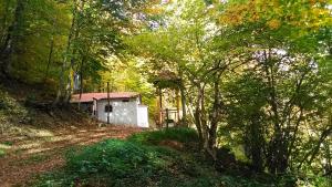 una pequeña casa en medio de un bosque en Drazilovo, en Metamórfosi