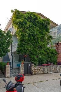 een motorfiets geparkeerd voor een huis met een grote boom bij Apartments with parking space Podaca, Makarska - 10439 in Podaca