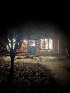 a tree in front of a building at night at Broockhof Ferienwohnung unterm Sternenhimmel in Mecklenburg in Reimershagen