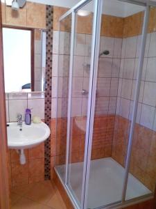 a bathroom with a shower and a sink at Kőhíd Vendégház in Abaújvár