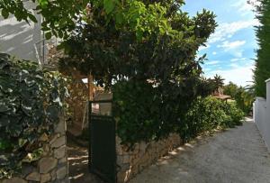 un arbre dans un bac à côté d'un mur de pierre dans l'établissement Apartments Nikica, à Seget Vranjica