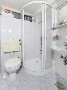 a bathroom with a shower and a toilet and a sink at Apartment Sanja in Martina