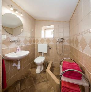 ein Badezimmer mit einem Waschbecken, einem WC und einem Spiegel in der Unterkunft House Vesna Kupinova in Milna
