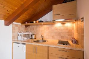 Kuchyň nebo kuchyňský kout v ubytování Apartment Zlendic