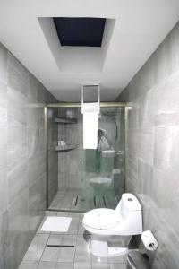 een badkamer met een toilet en een douche bij Hotel Posada Tulancingo in Tulancingo