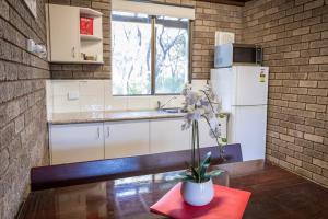 una cocina con nevera blanca y una planta sobre una mesa en Caves Road Chalets, en Margaret River Town