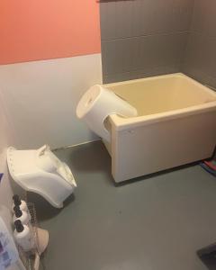 a bathroom with a bath tub and a toilet at FRIENDS in Futae