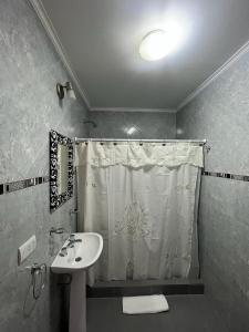 baño con lavabo y cortina de ducha en Piso 1 en Merlo