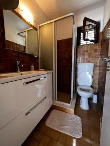 a bathroom with a toilet and a shower and a sink at Apartment Elena in Rogač